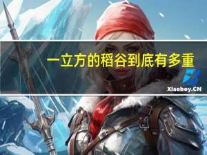 一立方的稻谷到底有多重