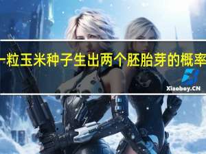 一粒玉米种子生出两个胚胎芽的概率有多大