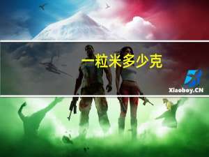 一粒米多少克