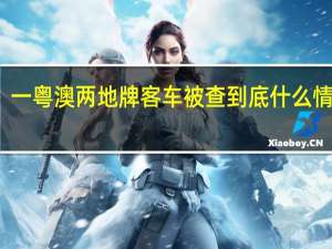 一粤澳两地牌客车被查 到底什么情况嘞