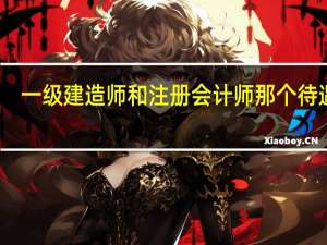 一级建造师和注册会计师那个待遇高