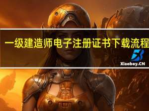 一级建造师电子注册证书下载流程如何