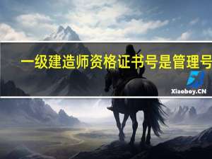 一级建造师资格证书号是管理号吗（一级建造师资格）