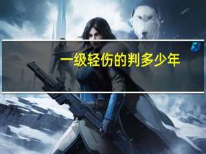 一级轻伤的判多少年