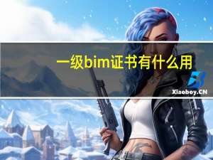 一级bim证书有什么用