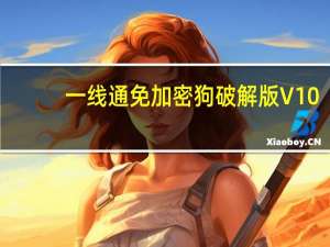 一线通免加密狗破解版 V10.82 最新免费版（一线通免加密狗破解版 V10.82 最新免费版功能简介）