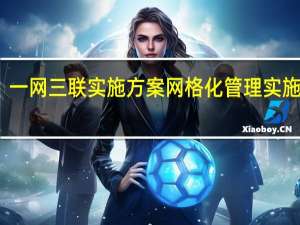 一网三联实施方案 网格化管理实施方案