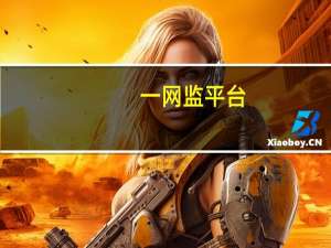 一网监平台（网监系统简介）