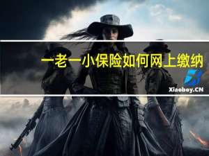 一老一小保险如何网上缴纳？