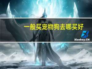一般买宠物狗去哪买好