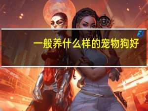 一般养什么样的宠物狗好