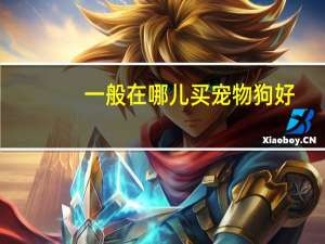 一般在哪儿买宠物狗好
