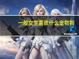 一般女生喜欢什么宠物狗