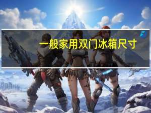 一般家用双门冰箱尺寸