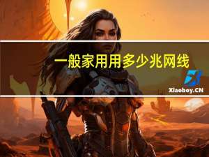 一般家用用多少兆网线