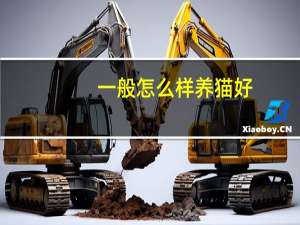 一般怎么样养猫好