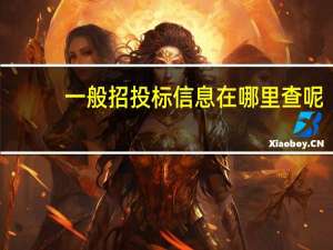 一般招投标信息在哪里查呢