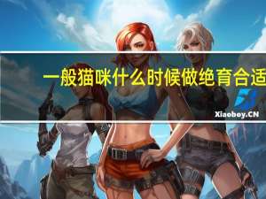 一般猫咪什么时候做绝育合适