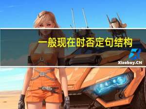 一般现在时否定句结构