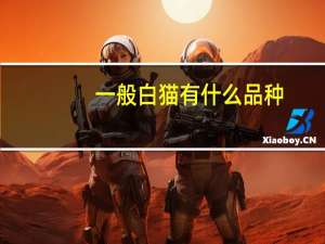 一般白猫有什么品种