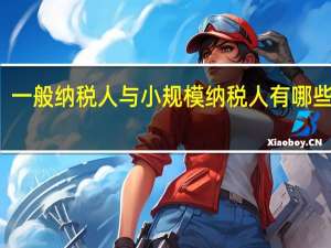 一般纳税人与小规模纳税人有哪些不同