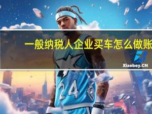 一般纳税人企业买车怎么做账