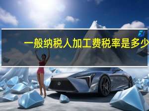一般纳税人加工费税率是多少