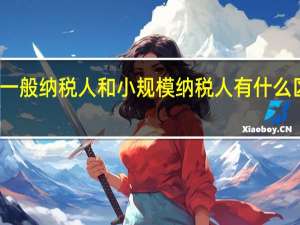 一般纳税人和小规模纳税人有什么区别呢