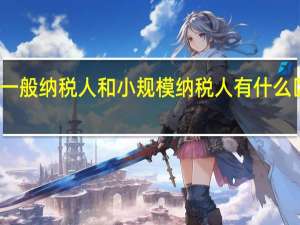 一般纳税人和小规模纳税人有什么区别啊