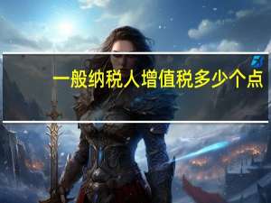 一般纳税人增值税多少个点