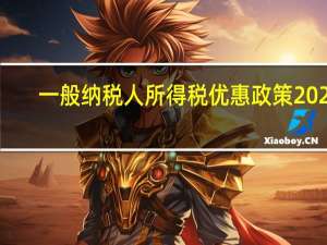 一般纳税人所得税优惠政策2020