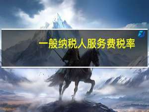 一般纳税人服务费税率