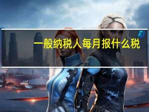 一般纳税人每月报什么税