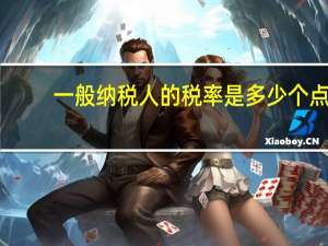 一般纳税人的税率是多少个点