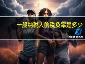 一般纳税人的税负率是多少