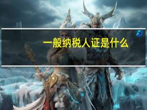 一般纳税人证是什么