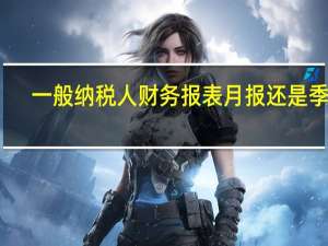 一般纳税人财务报表月报还是季报