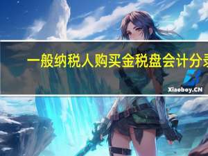 一般纳税人购买金税盘会计分录