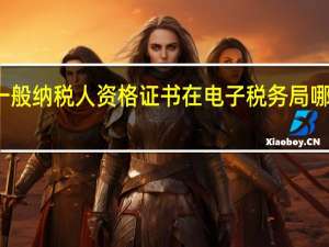 一般纳税人资格证书在电子税务局哪里打印