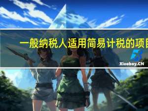 一般纳税人适用简易计税的项目