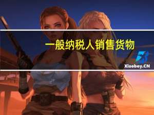 一般纳税人销售货物（一般纳税人销售额标准）