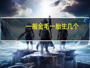 一般金毛一胎生几个