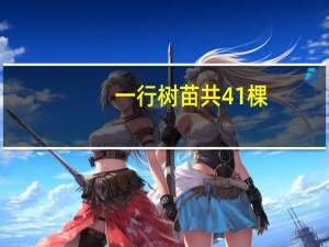 一行树苗共41棵