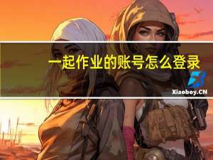 一起作业的账号怎么登录？