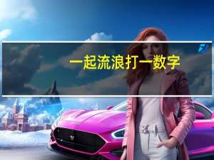 一起流浪打一数字