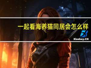 一起看海养猫同居会怎么样