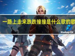 一路上走来跌跌撞撞是什么歌的歌词DJ