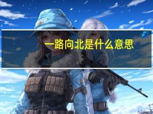 一路向北是什么意思