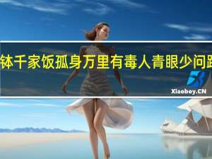 一钵千家饭孤身万里有毒人青眼少问路白云头