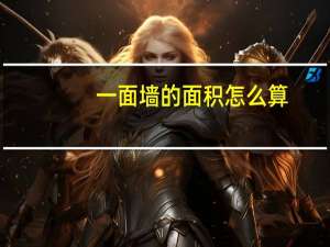 一面墙的面积怎么算